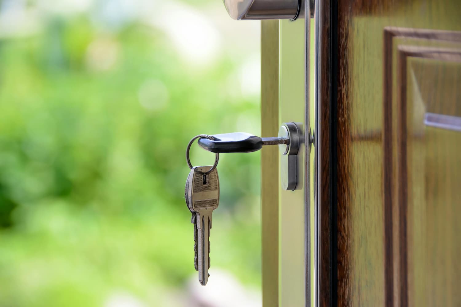 own a home